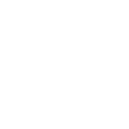 RUSSES VPN